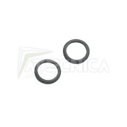 ricambio-coppia-guarnizioni-or-paraolio-beta-1756c-2or-00017560503.jpg
