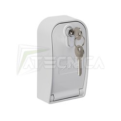 selettore-a-chiave-con-sblocco-a-leva-per-serrande-faac-genius-armo2-6100340.jpg
