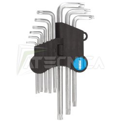 serie-di-chiavi-torx-con-foro-guida-lunghe-fervi-0220.jpg